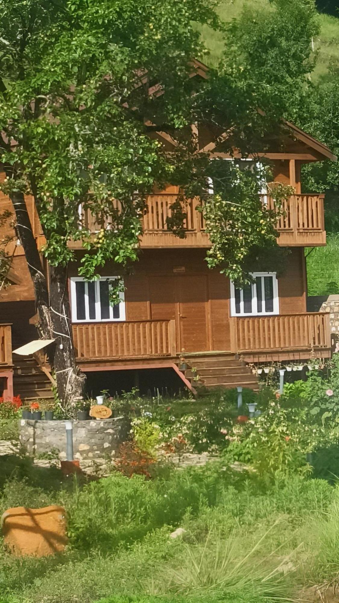 Vanprastha Resorts Dwarahat エクステリア 写真