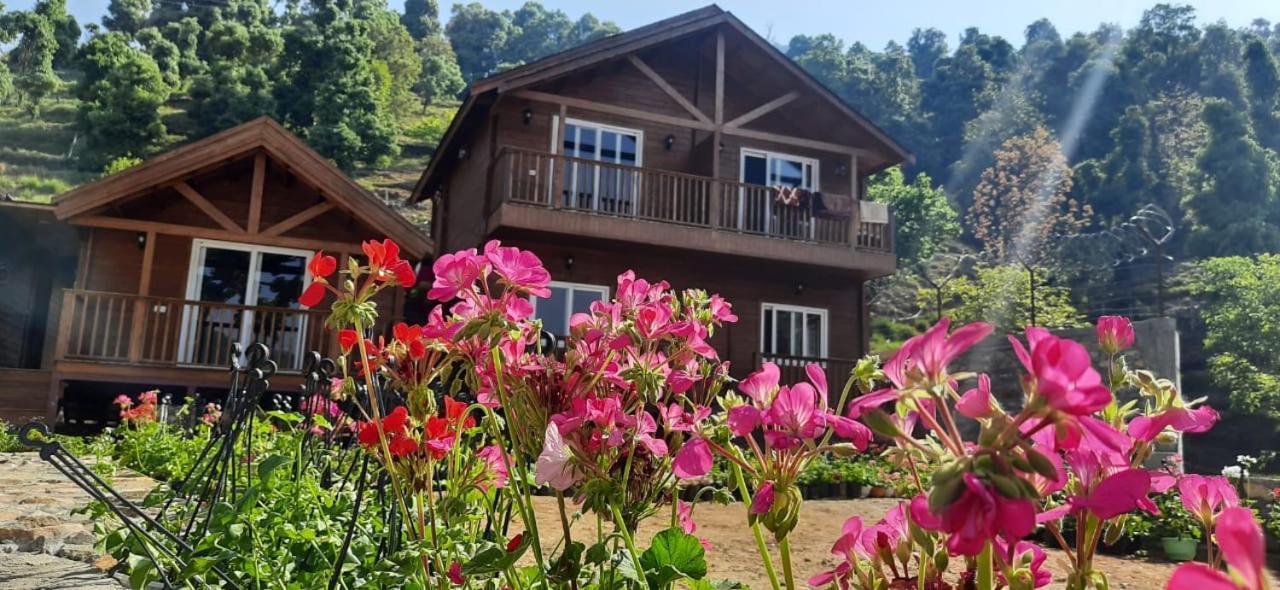 Vanprastha Resorts Dwarahat エクステリア 写真