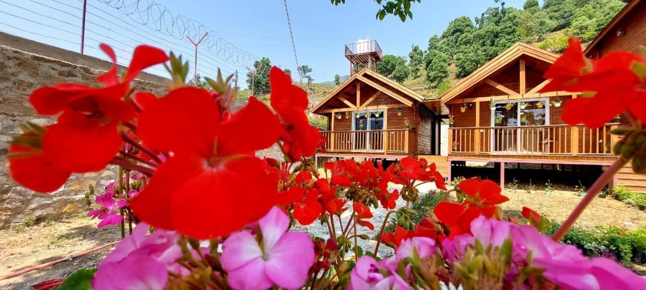 Vanprastha Resorts Dwarahat エクステリア 写真